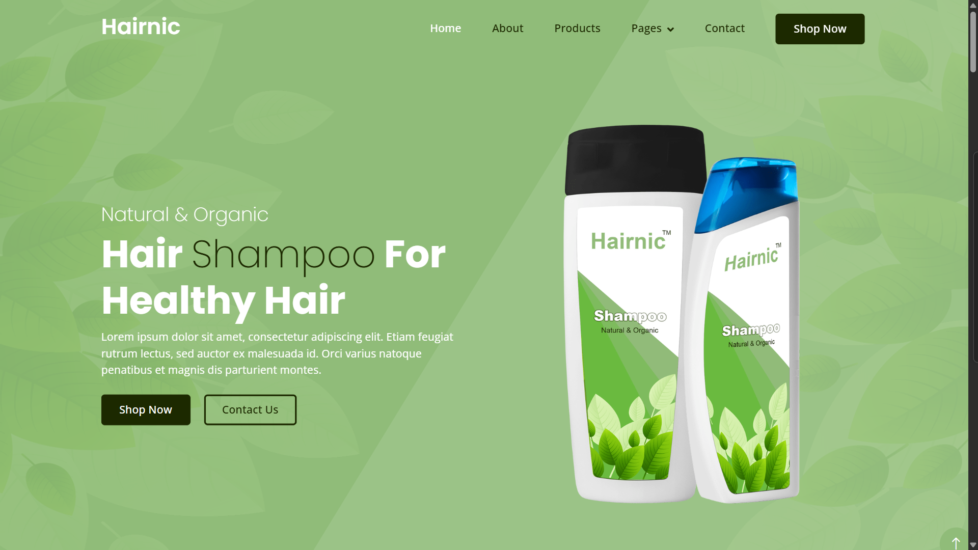 Hairnic Product Template